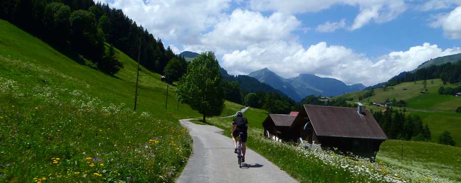 2013imswitzerlandviewbike